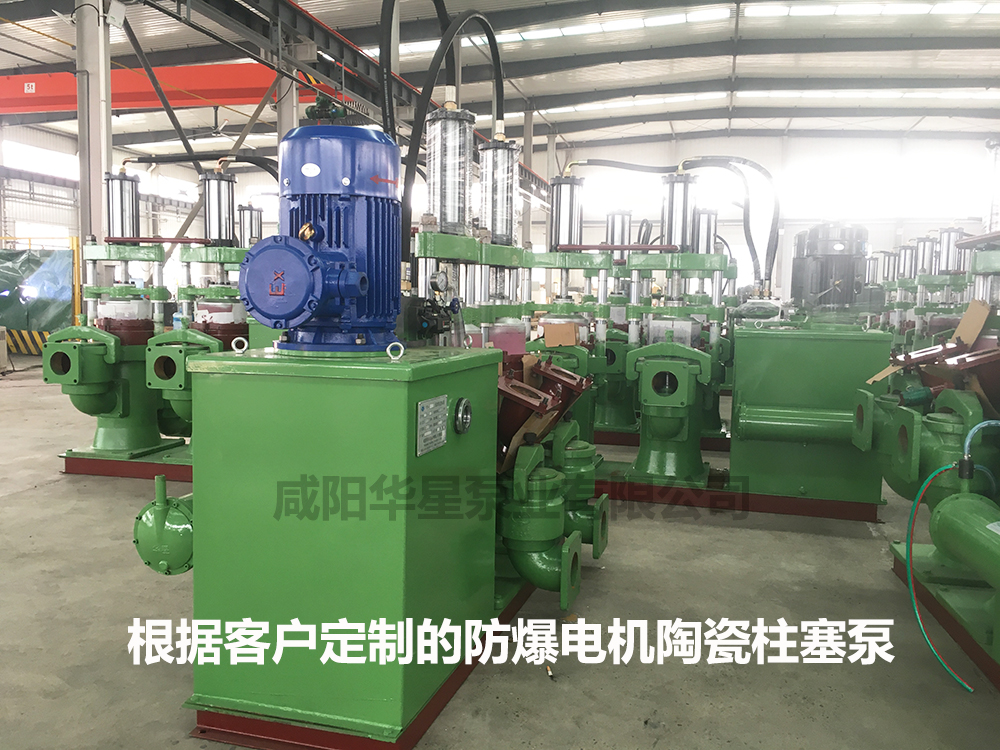 防爆电机陶瓷柱塞泵.jpg