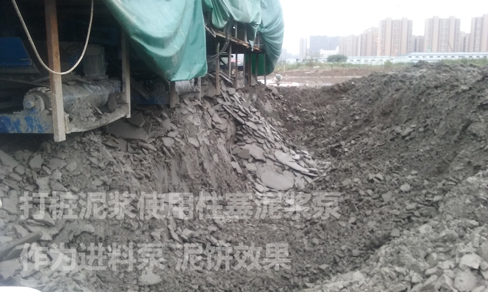 处理后的泥饼.jpg