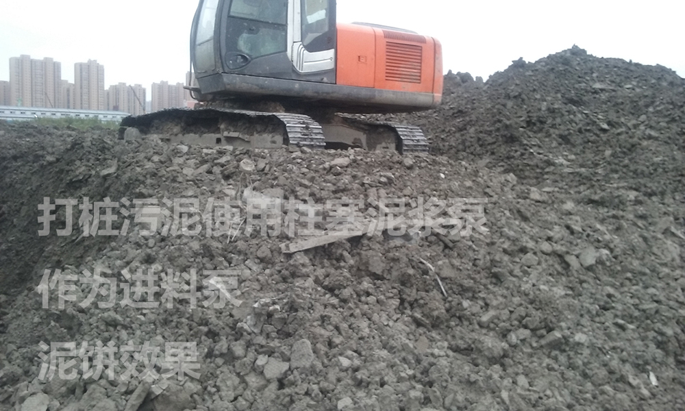 处理后的泥饼2.jpg