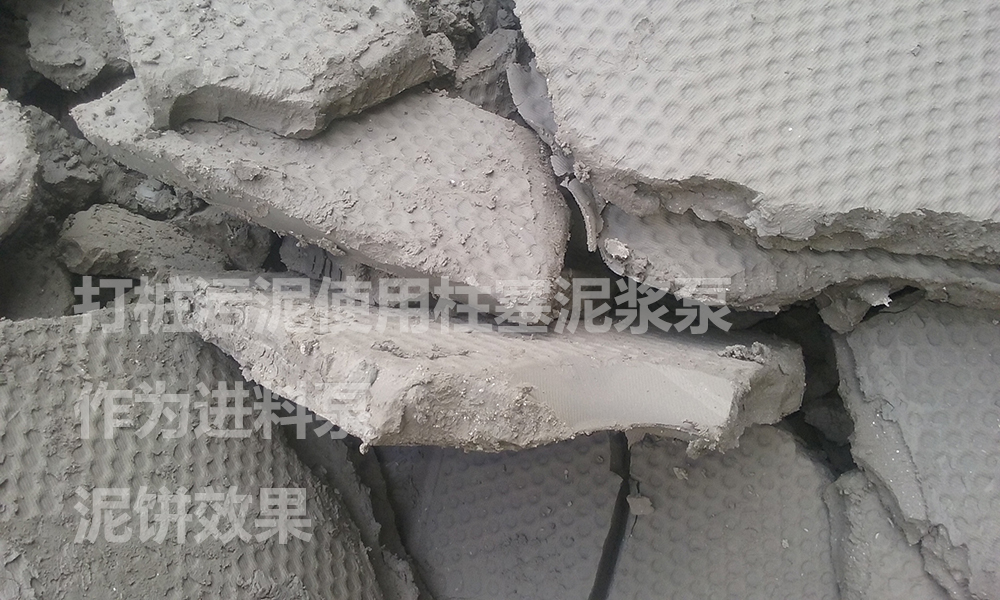 处理后的泥饼5.jpg