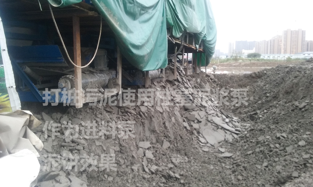 处理后的泥饼3.jpg