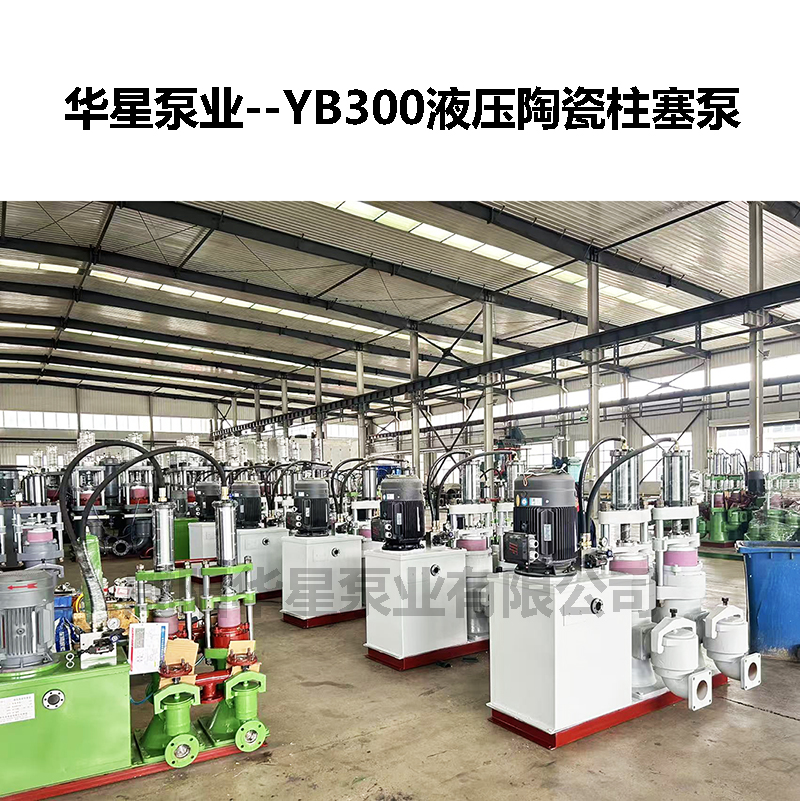 YB300液压陶瓷柱塞泵-18