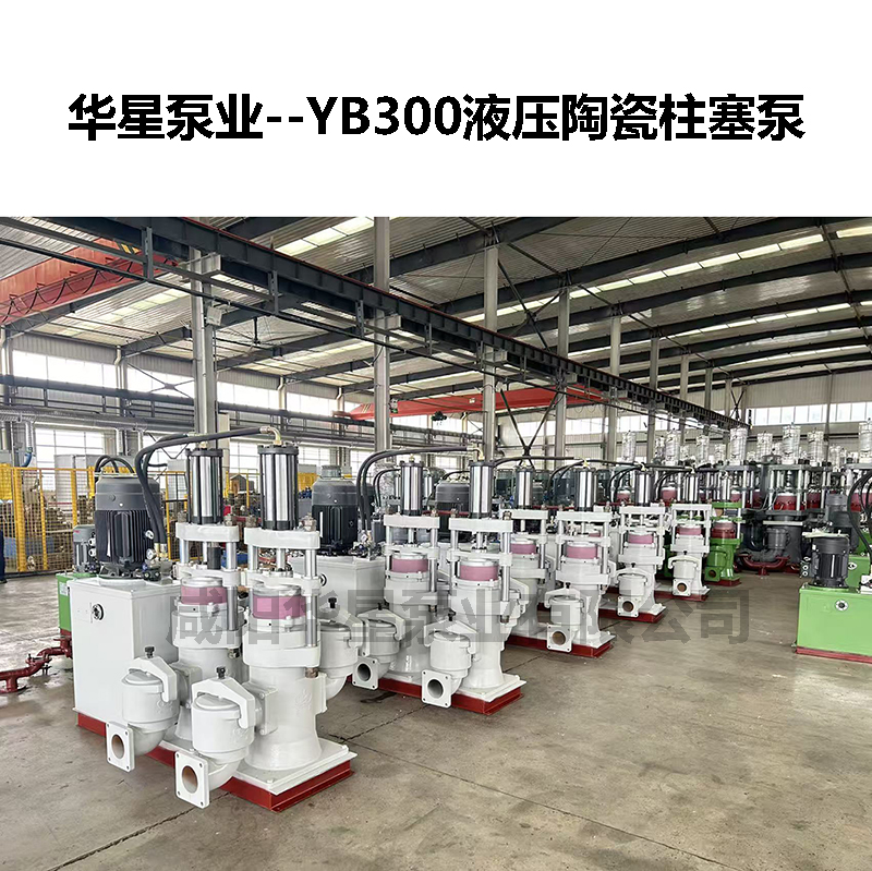 液压双缸陶瓷柱塞泵
