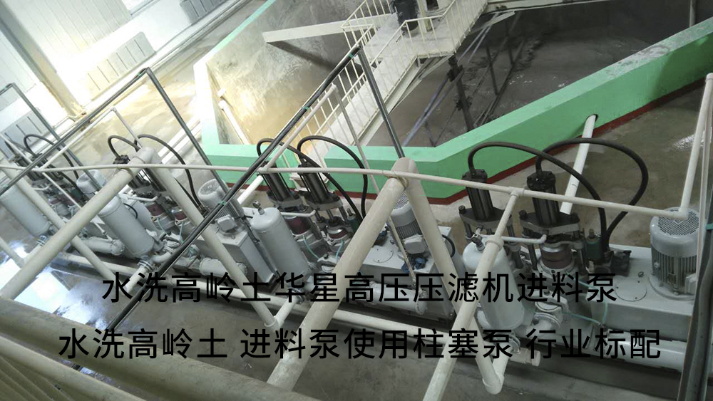 水洗高岭土高压压滤机进料泵3