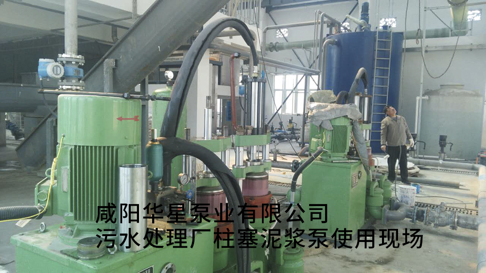 安徽池州清溪污水处理厂-水印