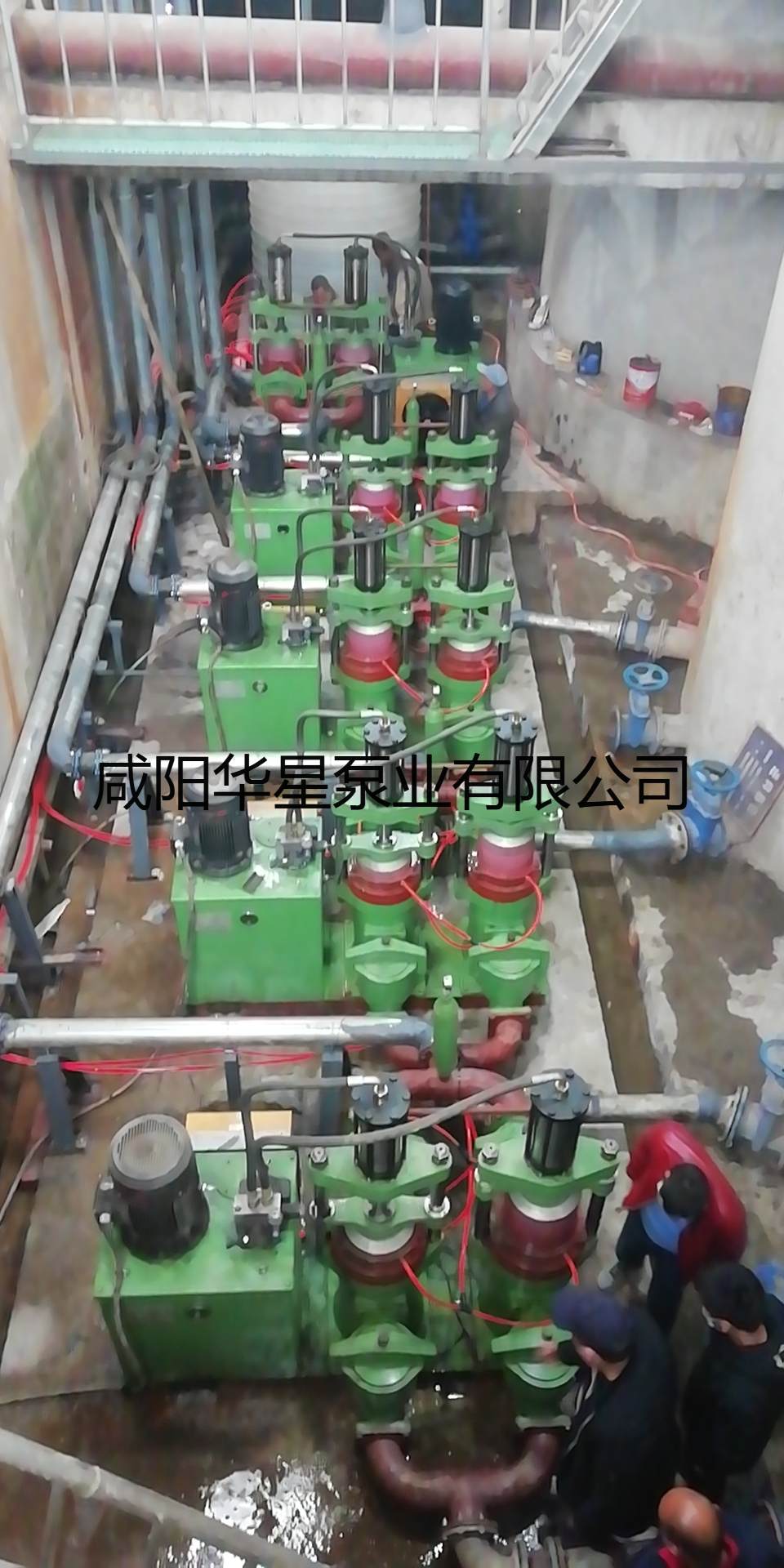 湖北玉鑫-图片水印.jpg