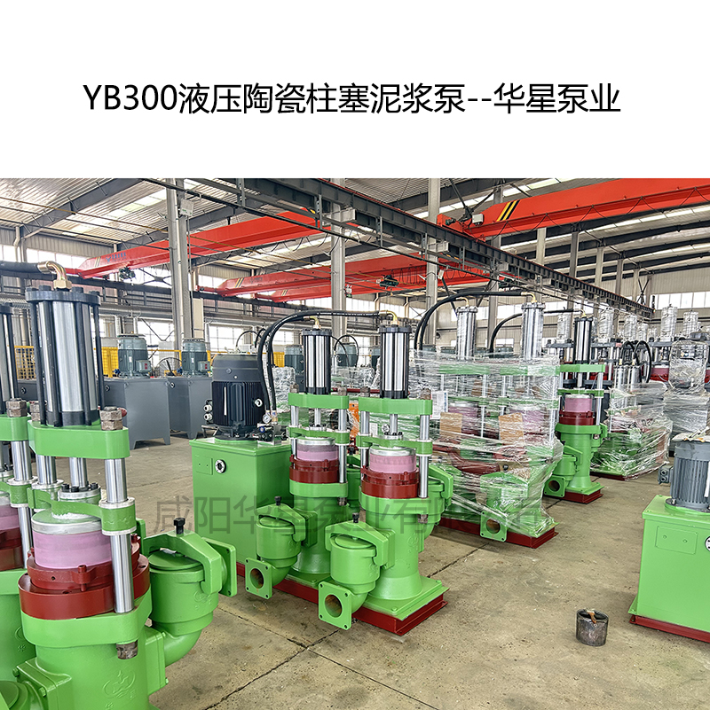 柱塞泵型号YB300-45