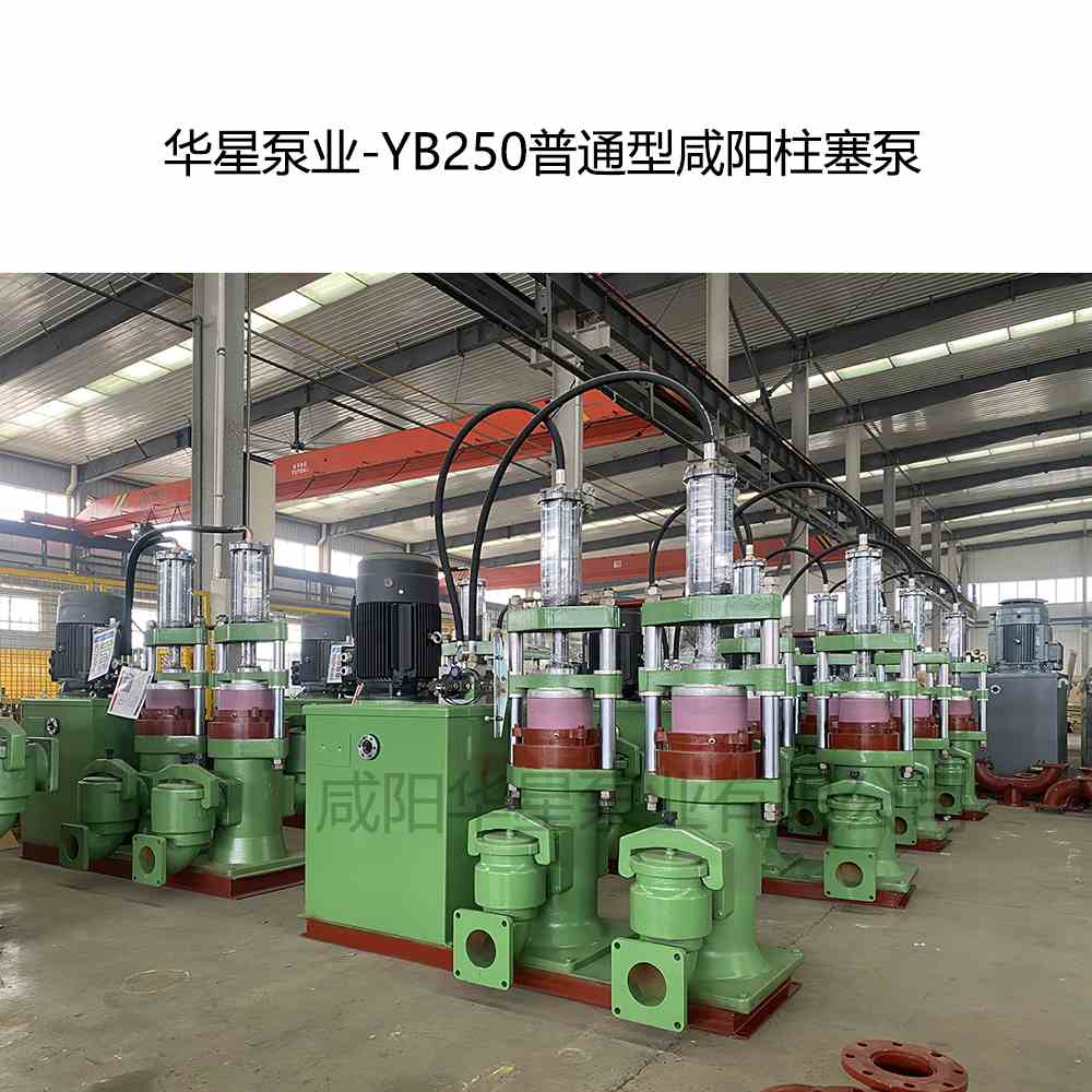 华星泵业-YB250普通型咸阳柱塞泵